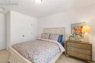 9297 Meccano Pt, Colorado Springs, CO 80924 - Photo 25