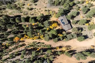 356 Spring Valley Dr, Divide, CO 80814 - Photo 45