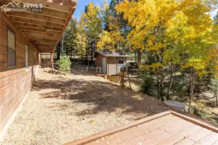 356 Spring Valley Dr, Divide, CO 80814 - Photo 9