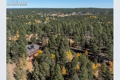 356 Spring Valley Drive, Divide, CO 80814 - Photo 11