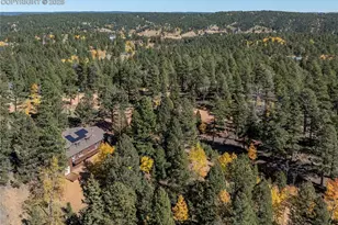 356 Spring Valley Dr, Divide, CO 80814 - Photo 11