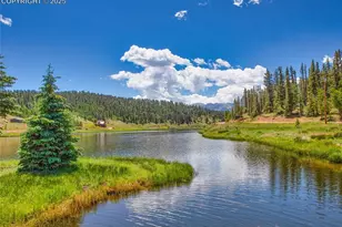 356 Spring Valley Dr, Divide, CO 80814 - Photo 47