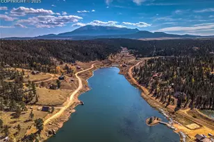 356 Spring Valley Dr, Divide, CO 80814 - Photo 49