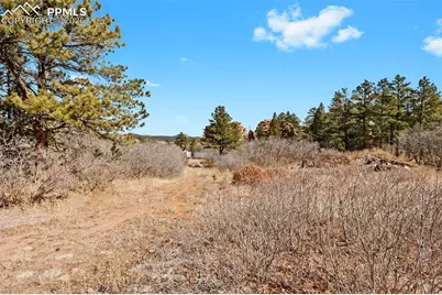 4549 Redstone Ridge Road, Monument, CO 80132 - Photo 5
