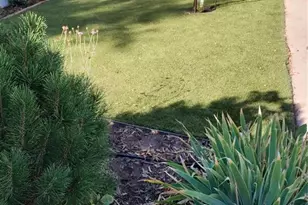 801 E Platte Ave, Colorado Springs, CO 80903 - Photo 17