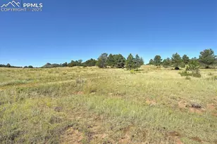 1106 Hull Ave, Westcliffe, CO 81252 - Photo 29