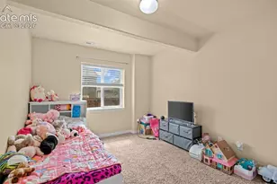 7822 Wythe Dr, Fountain, CO 80817 - Photo 23
