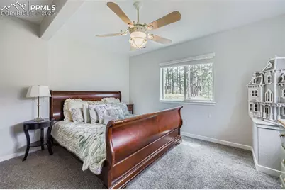 1621 Lazy Cat Lane, Monument, CO 80132 - Photo 41