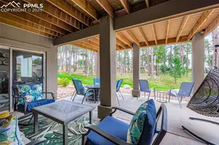 1621 Lazy Cat Ln, Monument, CO 80132 - Photo 49