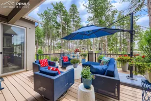 1621 Lazy Cat Ln, Monument, CO 80132 - Photo 47