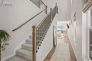 7011 Knapp Dr, Colorado Springs, CO 80924 - Photo 5