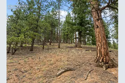 3919 County Road 33, Sedalia, CO 80135 - Photo 13