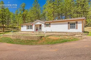 275 Mohave Creek Trail, Florissant, CO 80816 - Photo 1
