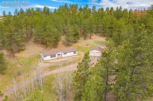 275 Mohave Creek Trail, Florissant, CO 80816 - Photo 25