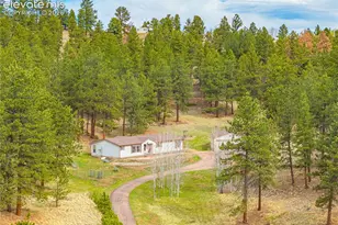 275 Mohave Creek Trail, Florissant, CO 80816 - Photo 23