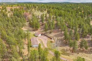 275 Mohave Creek Trail, Florissant, CO 80816 - Photo 29