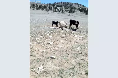 00 Lakeview Drive, Hartsel, CO 80449 - Photo 21