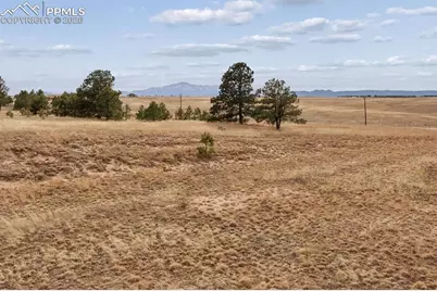 6905 Alpaca Heights, Colorado Springs, CO 80908 - Photo 43