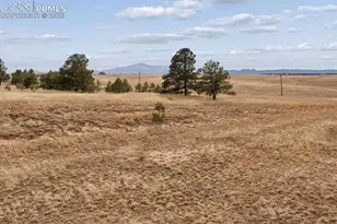 6905 Alpaca Heights, Colorado Springs, CO 80908 - Photo 43