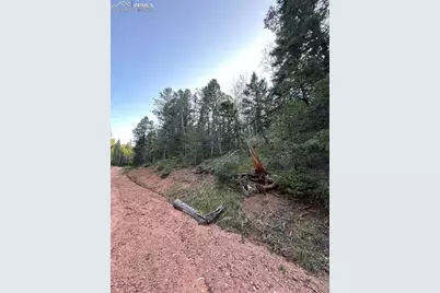 83 Sodalite Road, Divide, CO 80814 - Photo 3