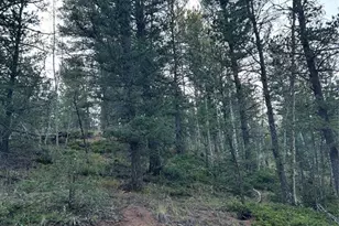 83 Sodalite Rd, Divide, CO 80814 - Photo 1