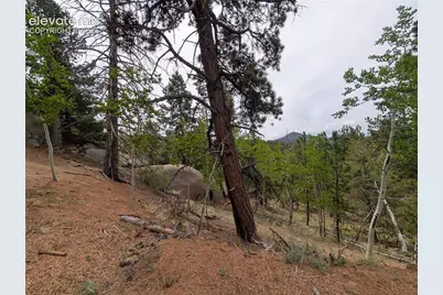 16 Princess Lane, Cripple Creek, CO 80813 - Photo 5