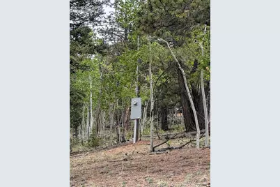 16 Princess Lane, Cripple Creek, CO 80813 - Photo 13