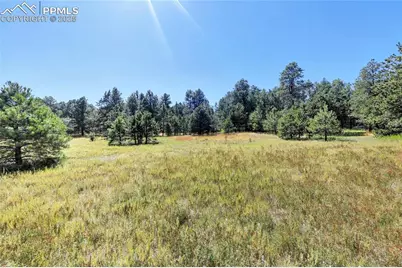 18380 Black Squirrel Road, Colorado Springs, CO 80908 - Photo 9