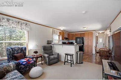 509 John Drive, Divide, CO 80814 - Photo 3