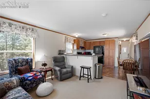 509 John Dr, Divide, CO 80814 - Photo 3
