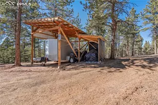 509 John Dr, Divide, CO 80814 - Photo 11