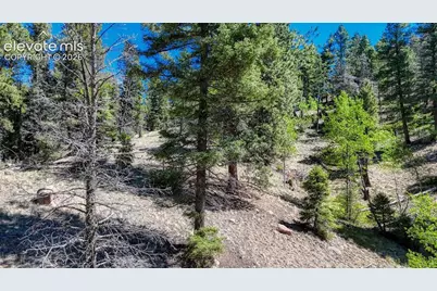 3454 N Mountain Estates Road, Florissant, CO 80816 - Photo 13