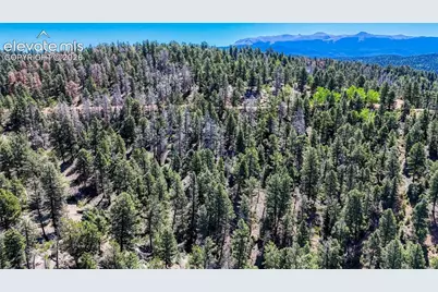 3454 N Mountain Estates Road, Florissant, CO 80816 - Photo 1