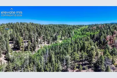 3454 N Mountain Estates Road, Florissant, CO 80816 - Photo 25
