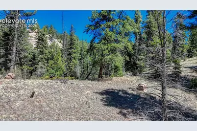 3454 N Mountain Estates Road, Florissant, CO 80816 - Photo 27