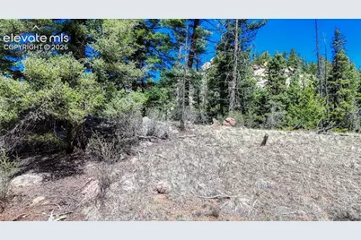 3454 N Mountain Estates Road, Florissant, CO 80816 - Photo 15