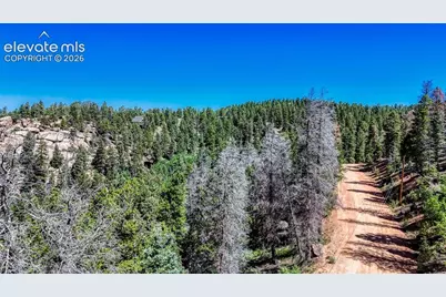 3454 N Mountain Estates Road, Florissant, CO 80816 - Photo 7