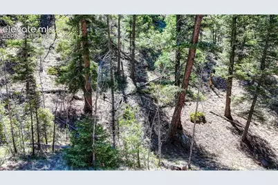 3454 N Mountain Estates Road, Florissant, CO 80816 - Photo 23