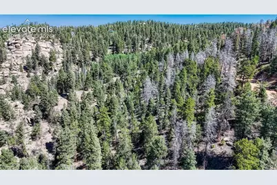 3454 N Mountain Estates Road, Florissant, CO 80816 - Photo 21