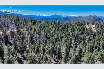 3454 N Mountain Estates Road, Florissant, CO 80816 - Photo 17