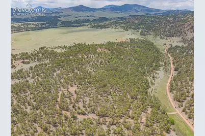 4250 Doe Valley Road, Guffey, CO 80820 - Photo 5