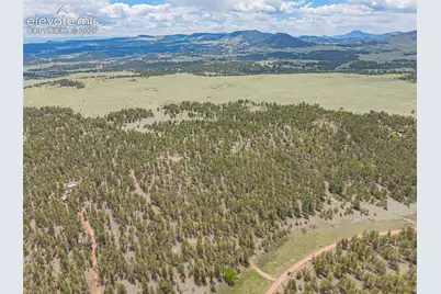 4250 Doe Valley Road, Guffey, CO 80820 - Photo 31