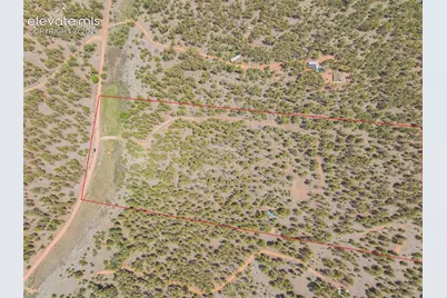 4250 Doe Valley Road, Guffey, CO 80820 - Photo 33