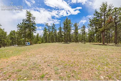 4250 Doe Valley Road, Guffey, CO 80820 - Photo 19