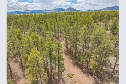 4250 Doe Valley Road, Guffey, CO 80820 - Photo 23