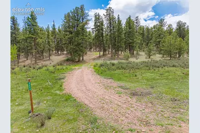 4250 Doe Valley Road, Guffey, CO 80820 - Photo 3