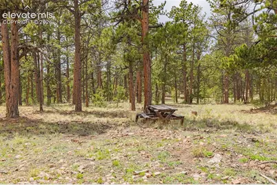 4250 Doe Valley Road, Guffey, CO 80820 - Photo 15