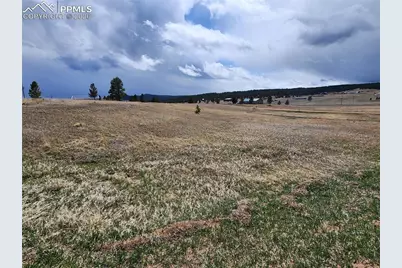 714 Empire Road, Florissant, CO 80816 - Photo 5