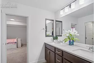 9234 Gallery Place, Colorado Springs, CO 80924 - Photo 27