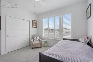 9234 Gallery Pl, Colorado Springs, CO 80924 - Photo 21